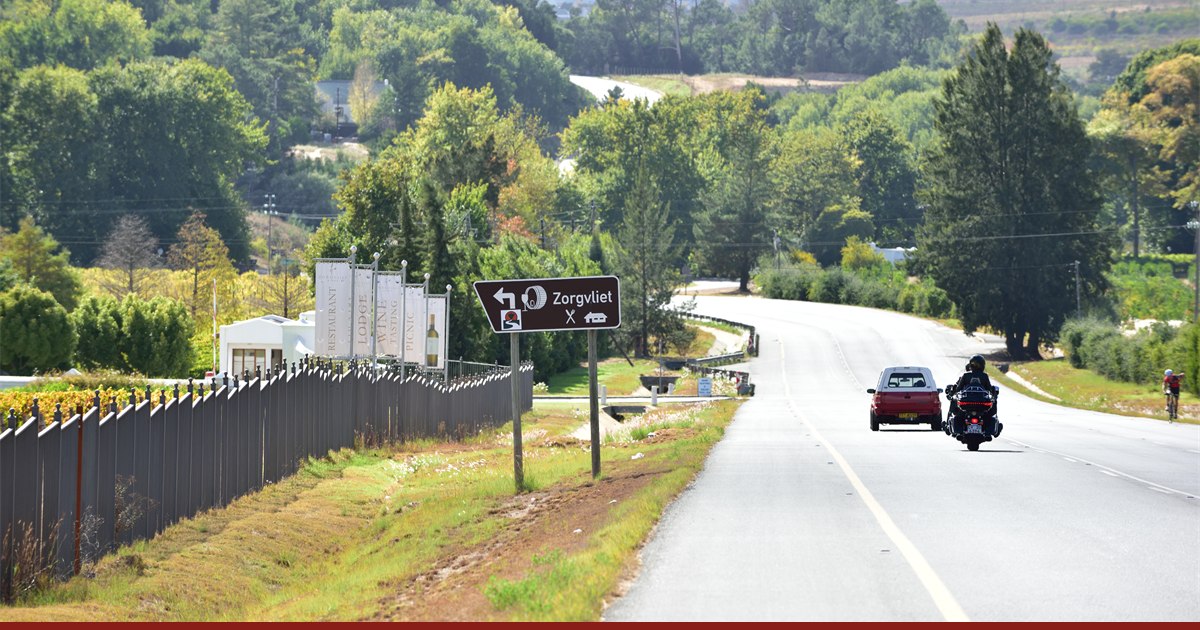 A Stellenbosch Wine Route road sign pointing to Zorgvliet wine estate on a tree-lined road in the Cape Winelands