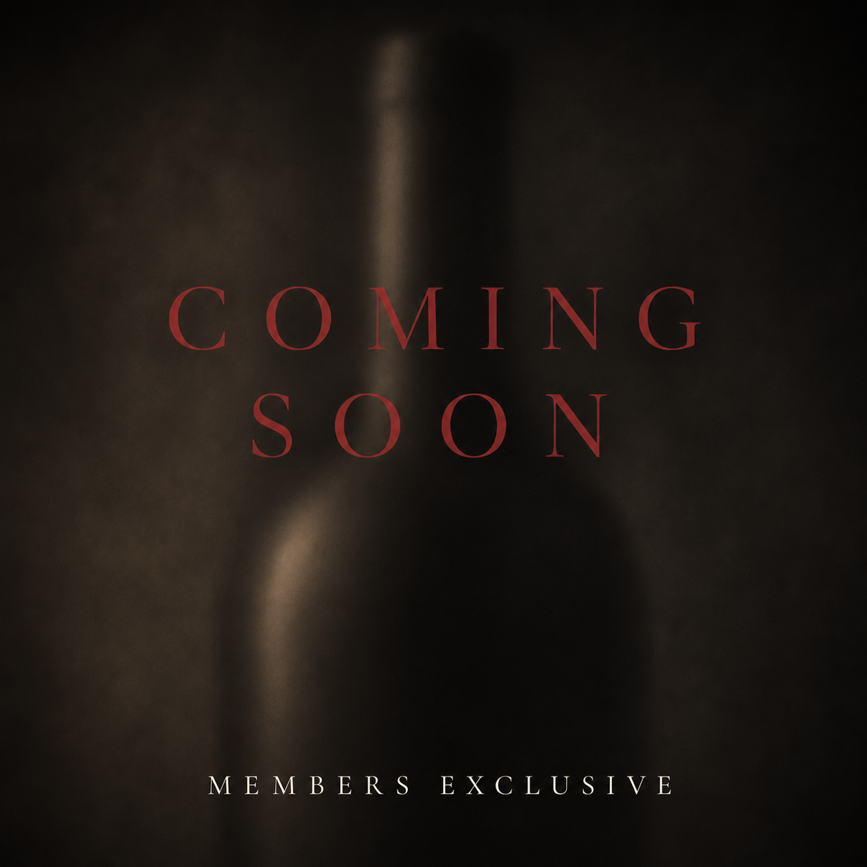 Don Penguin Merlot Reserve 2021